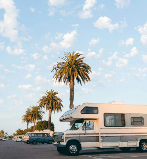 RVs parked under palm trees in a bright daylight urban parking lot setting.